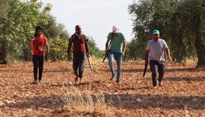 Gece gündüz demeden Antep fıstığı nöbeti
