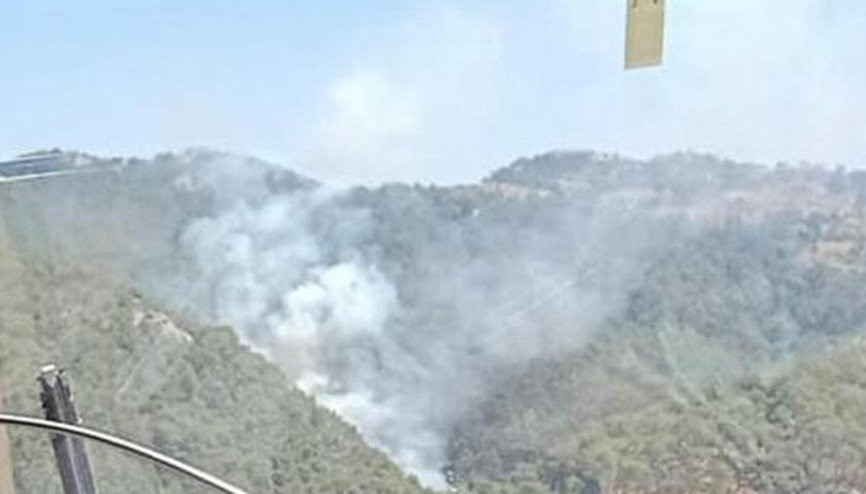 Son dakika... İzmir Güzelbahçede orman yangını