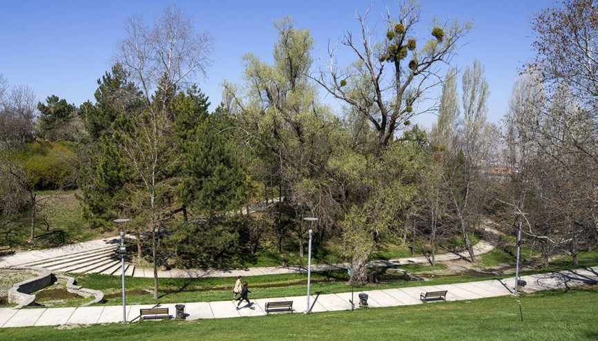 Yeşil alan verileri 31 yıl sonra aynı