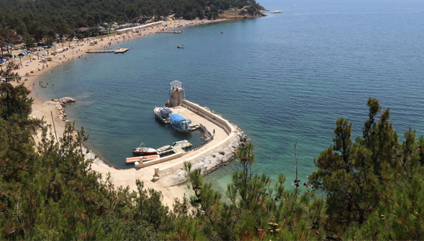 Sarosa ilgi artıyor