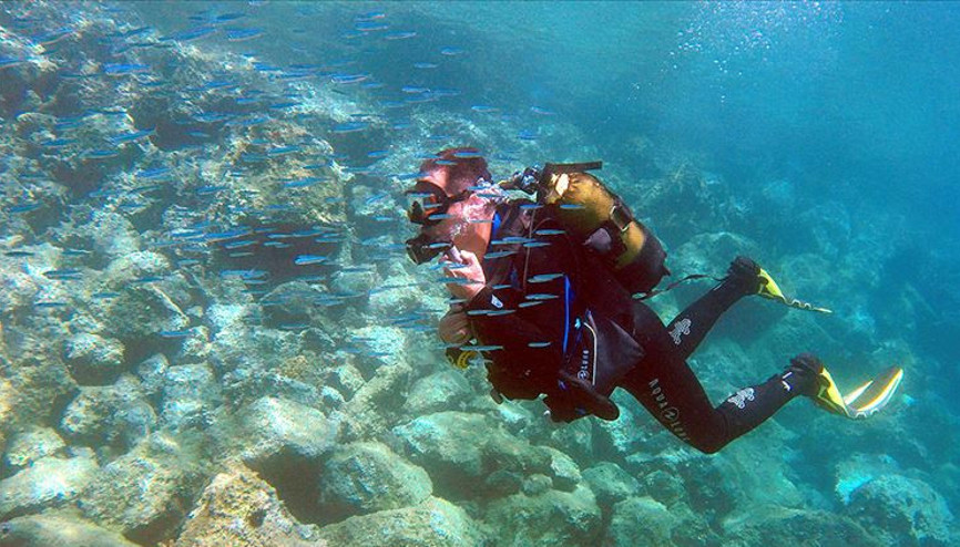 Sarosun akvaryumu dalış turizminin ilgi odağı oldu