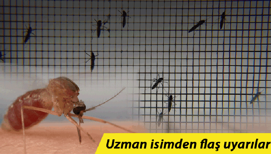 Asya Kaplan Sivrisineği alarmı Prof. Dr. Kovancıdan önemli uyarılar