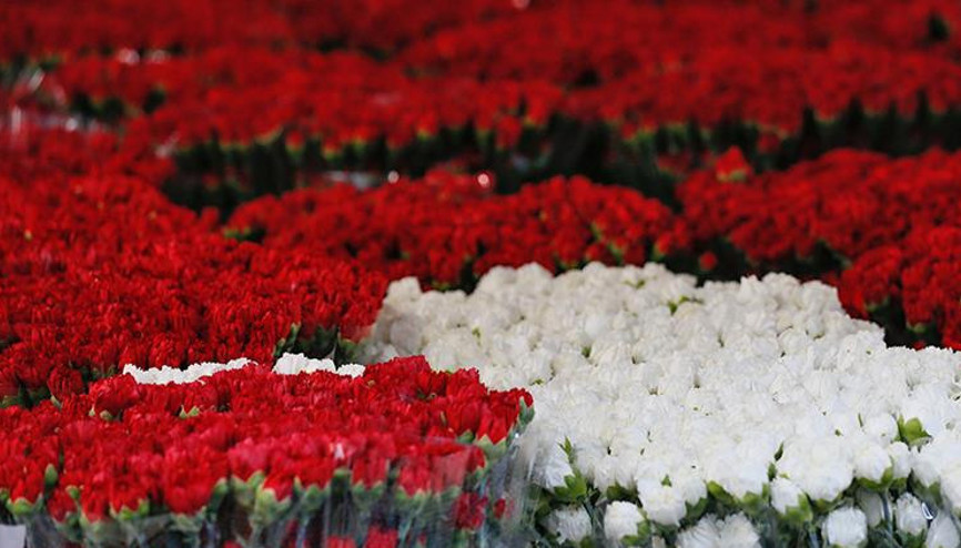 Denizliden Hollanda ve Rusyaya karanfil ihracatı