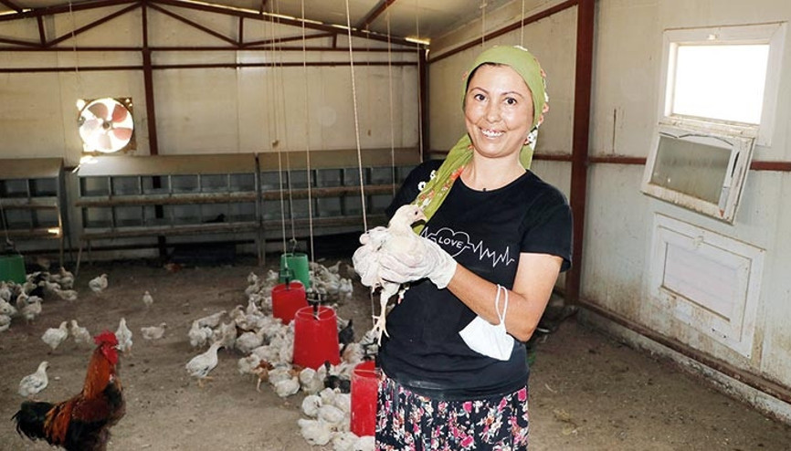 Ölüme terk edilen civcivlerin şansı Zöhre