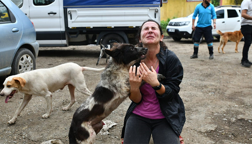 Artvinin Arhavi ilçesinde selde mahsur kalan köpekler böyle kurtarıldı Gözyaşlarına boğuldu