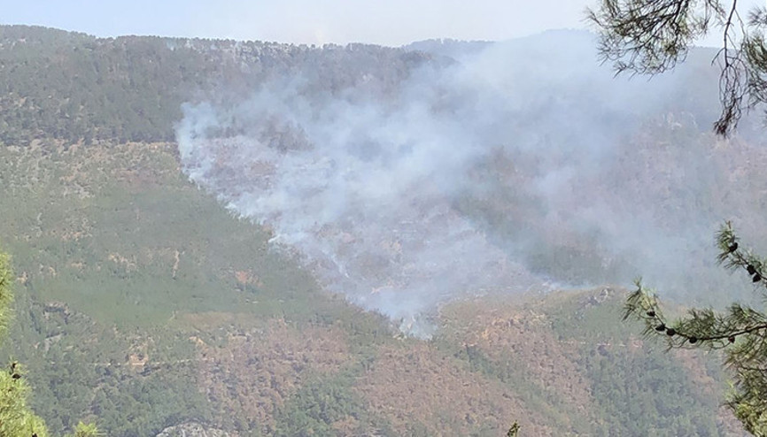Son dakika... Mersinde orman yangını