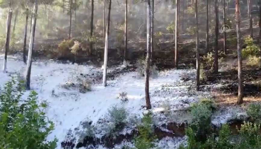 Adana Fekede çıkan orman yangını kontrol altına alındı