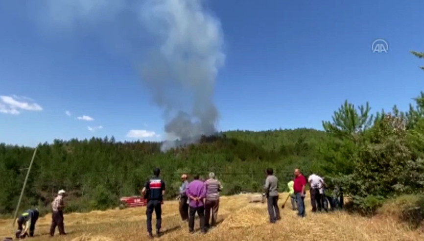 Kastamonu Taşköprüde orman yangını