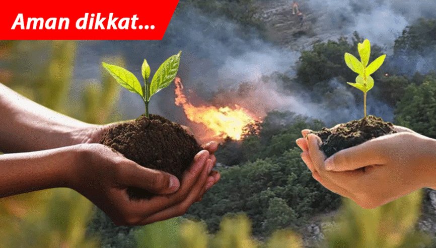 Uzmanlardan yeniden yeşillendirme uyarısı: Aman kaş yapayım derken göz çıkarmayalım Uzmanlardan yeniden yeşillendirme uyarısı: Aman kaş yapayım derken göz çıkarmayalım
