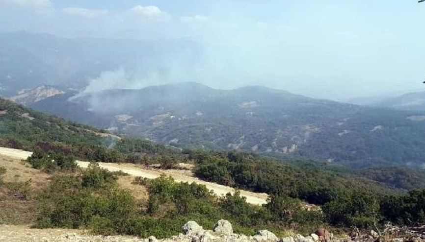Tuncelide ormanın 2 gün yandığı bölgede soğutma çalışması