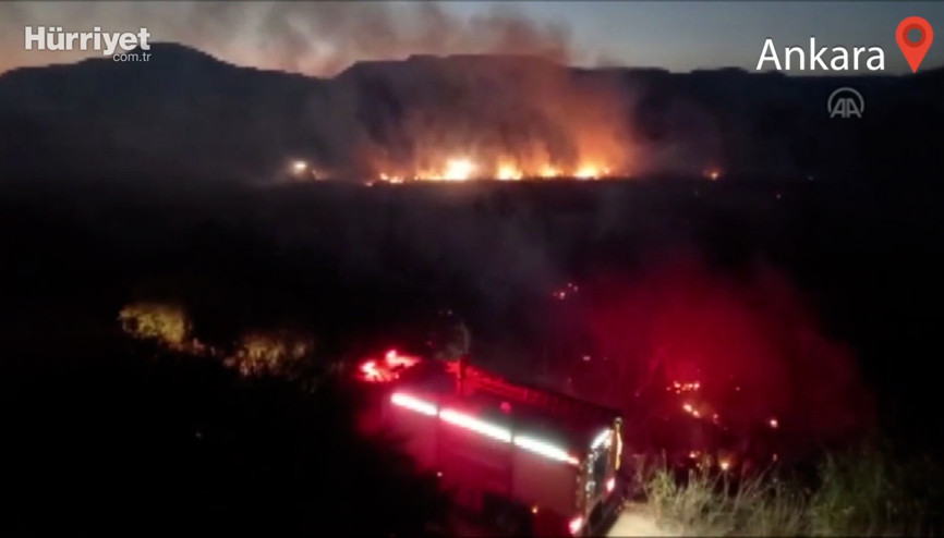 Ankara Nallıhan Kuş Cenneti’nde çıkan yangın kontrol altına alındı