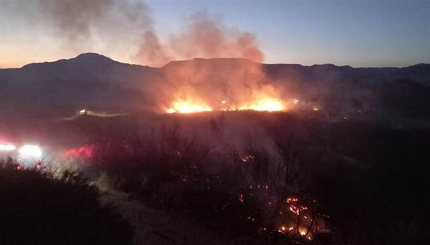 Kuş Cenneti yakınındaki sazlıkta yangın