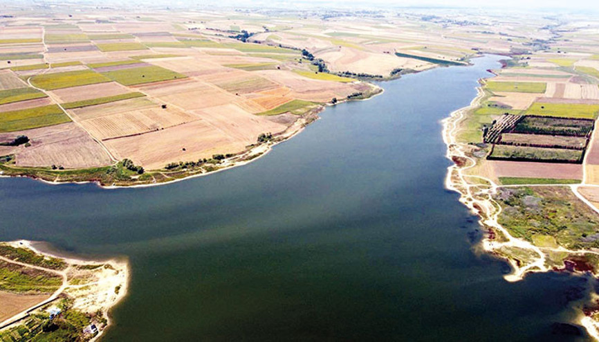 Trakya kurudu Trakya kurudu