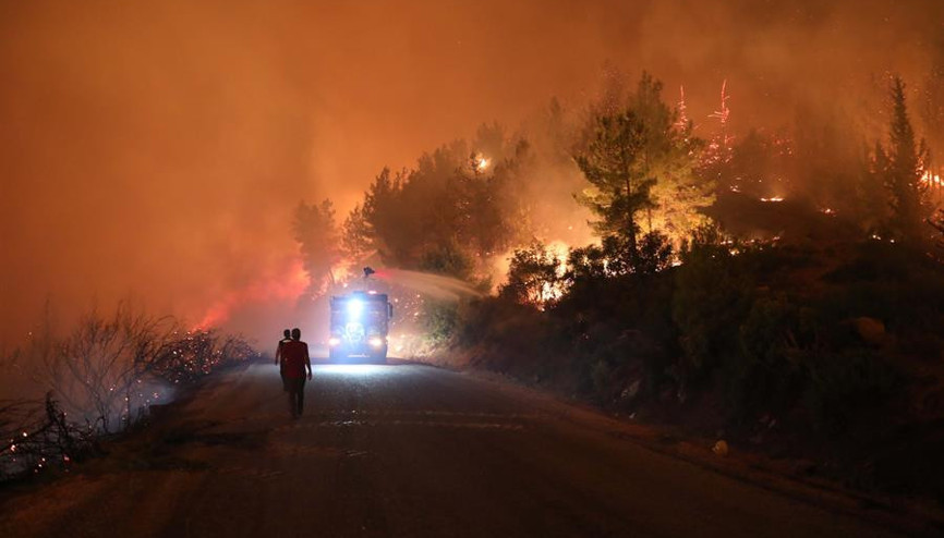 Azerbaycan Bankalar Birliğinden fidan kampanyasına destek