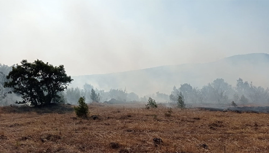 Son dakika... Balıkesirde çıkan iki yangın kontrol altında
