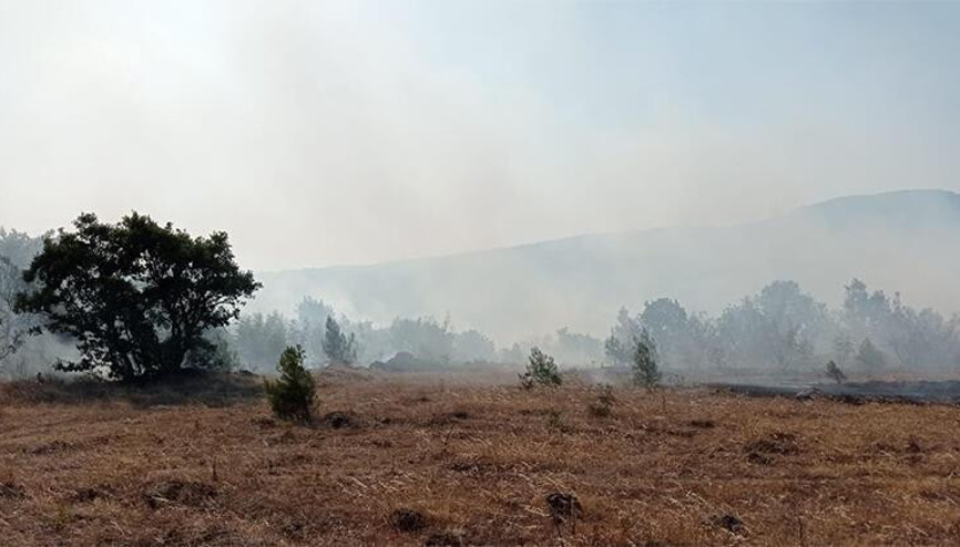 Balıkesir Savaştepede orman yangını