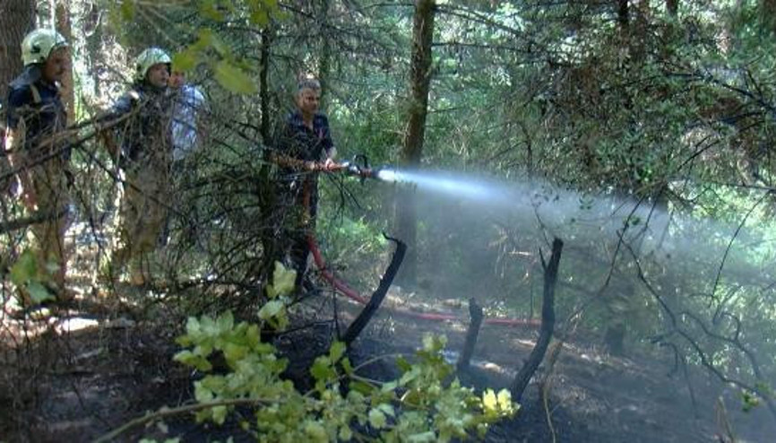 Aydos Ormanında çıkan yangın büyümeden söndürüldü