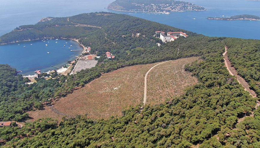 Bir yıl sonra Heybeliada