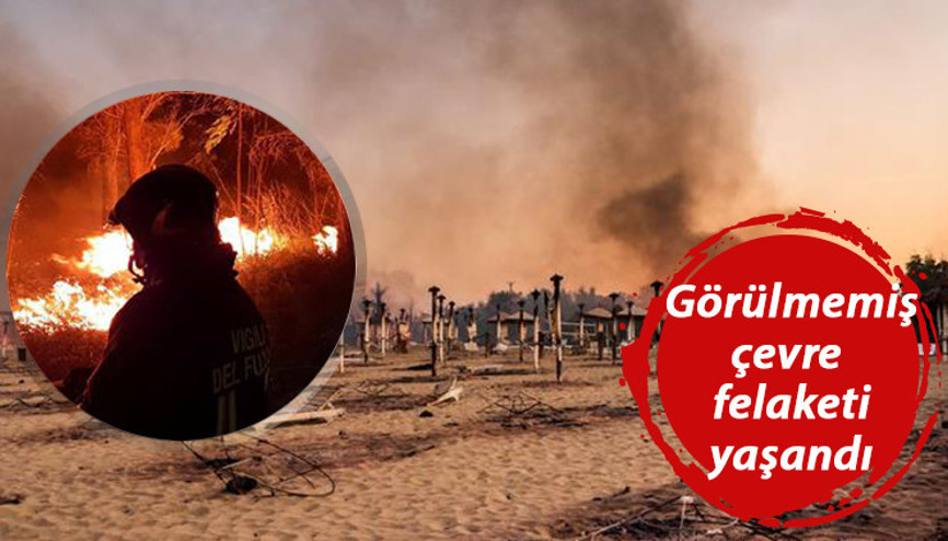 İtalyada görülmemiş çevre felaketi: Yangınlarda 30 milyon bal arısı yok oldu İtalyada görülmemiş çevre felaketi: Yangınlarda 30 milyon bal arısı yok oldu