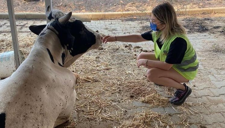 Haçiko Derneği’nden yangın mağduru hayvanlara destek
