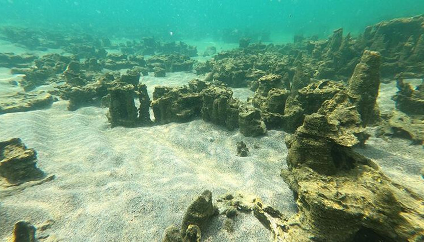 Van Gölünde 30-40 metre uzunluğunda mikrobiyalitler görüntülendi