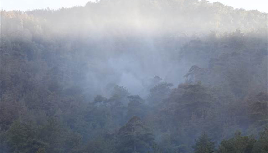 Bakan Karaismailoğlu: Aydın Çinedeki yangın kontrol altına alındı