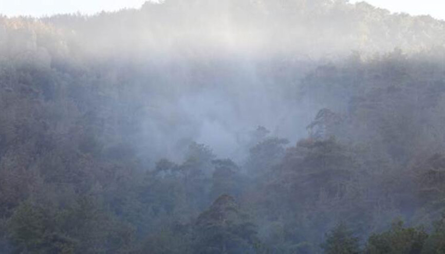 Bakan Karaismailoğlu: Aydın Çinedeki yangın kontrol altına alındı
