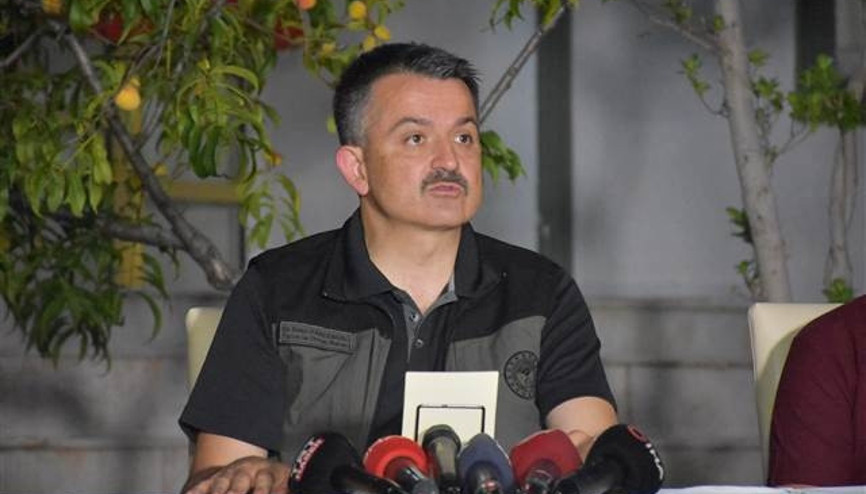 Son dakika... Bakan Pakdemirli duyurdu Bozdoğan yangını kontrol altına alındı