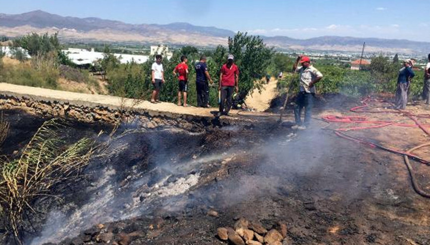 Alaşehirde 10 dekar üzüm bağı ve zeytinlik yandı