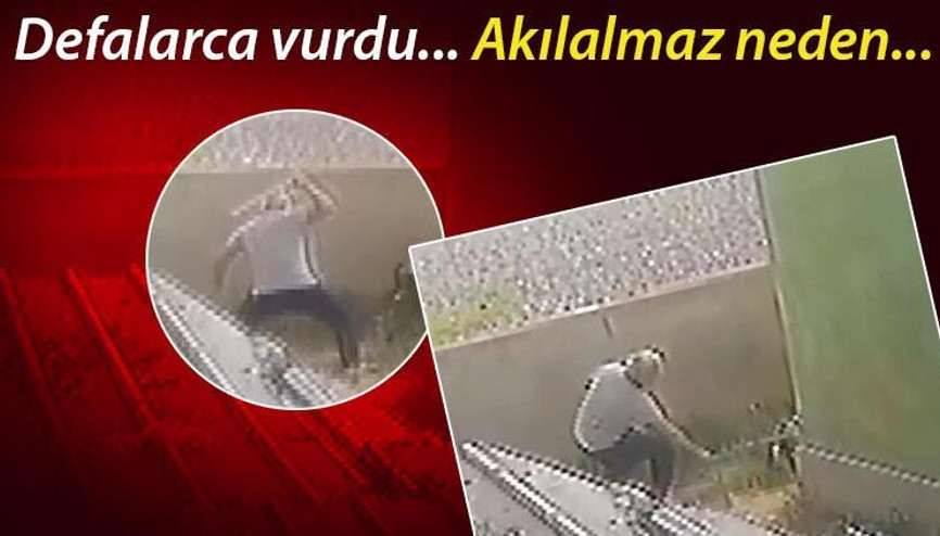 Civcivlerini kovalayan köpeği öldüresiye dövdü