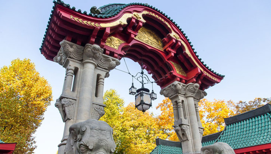 Yem ve bakım için acil destek lazım