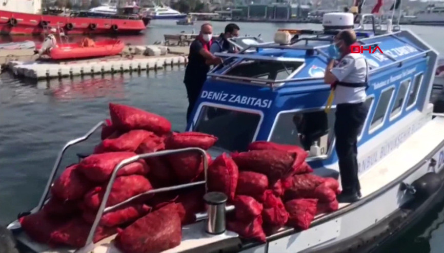 İstanbulda kaçak midye avcılarına operasyon; 2 ton midye ele geçirildi