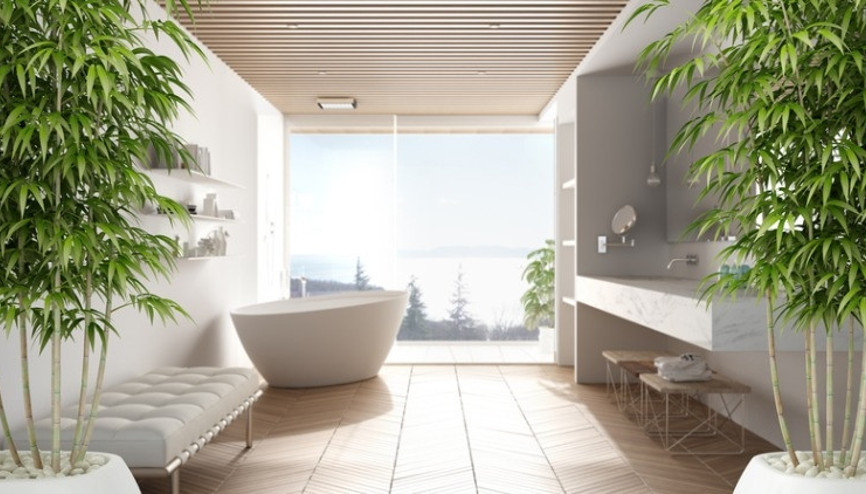 Feng Shui Nedir, Nasıl Yapılır Feng Shui Felsefesine Göre Enerji Veren En İyi Bitkiler ve Çiçekler