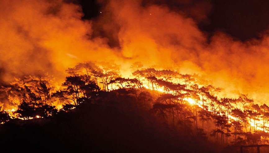 Yangınlar Türkiye’nin emisyon başarısını sildi