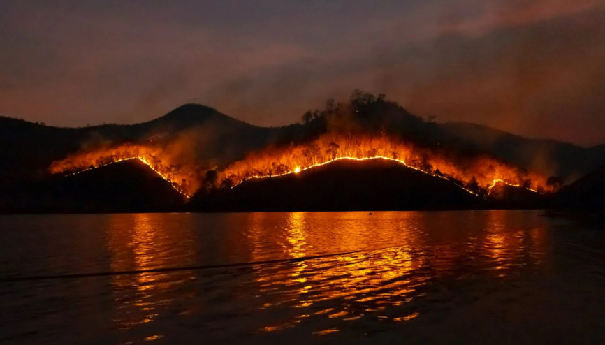 Orman yangınlarını önleyecek teknolojiler
