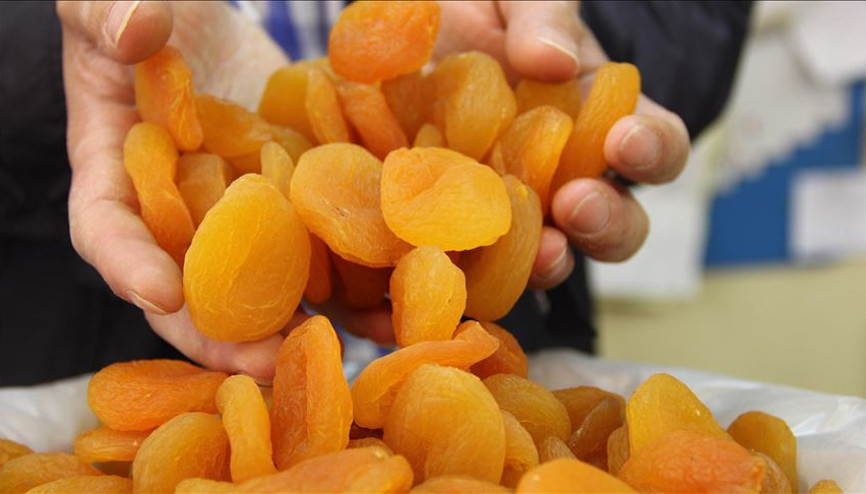 Güneydoğu, kuru meyve ihracatının 4te 3ünü Antep fıstığı ve kayısıdan sağlıyor Güneydoğu, kuru meyve ihracatının 4te 3ünü Antep fıstığı ve kayısıdan sağlıyor