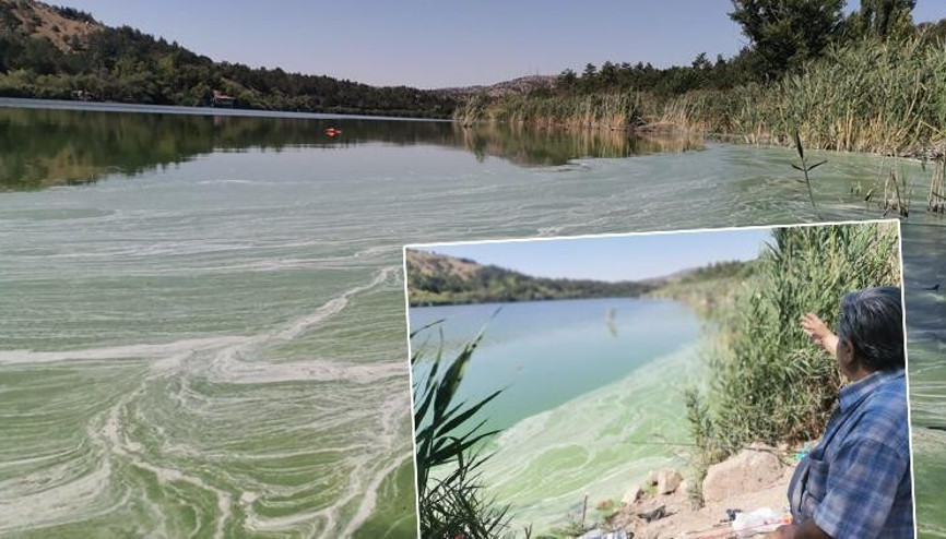 Ankarada birçok canlıya ev sahipliği yapan Eymir Gölü kirlendi