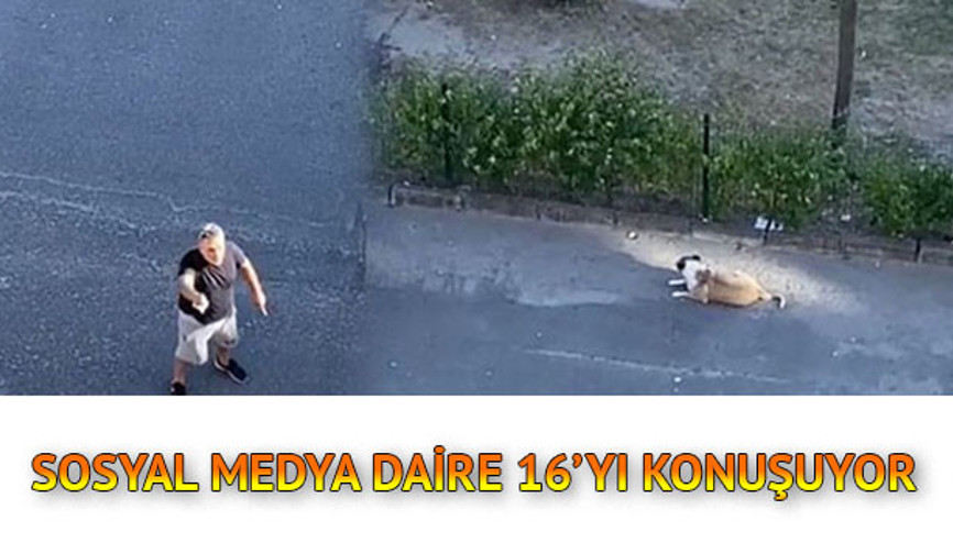 “Daire 16” etiketiyle yapılan paylaşımlar sosyal medya gündeminde... Sokak köpeğine sahip çıkan İbrahim Kaya’ya destek yağıyor