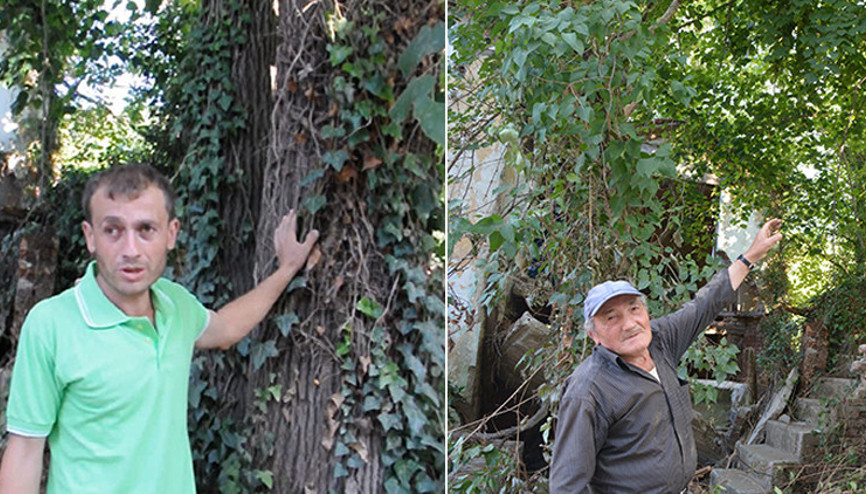 Kastamonudaki selde ağaca çıkan kişi, babasını da kemeriyle çekip kurtardı