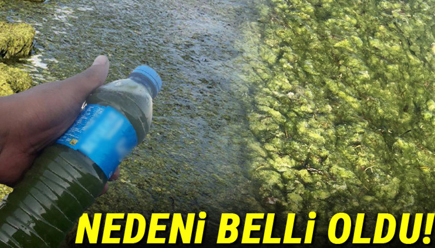 Beyşehir Gölünde endişelendiren görüntü... Yeşile büründü, kötü koku yayıldı Beyşehir Gölünde endişelendiren görüntü... Yeşile büründü, kötü koku yayıldı