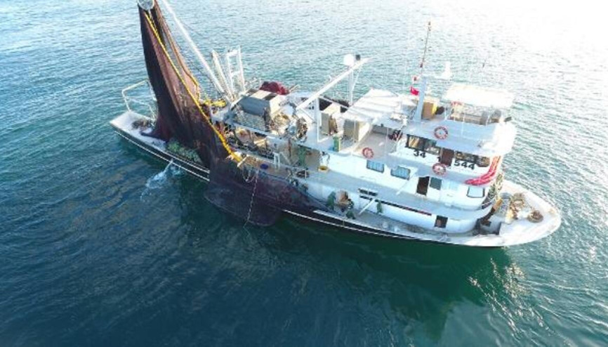 Balık sezonu ne zaman açılıyor Av yasağı ne zaman kalkacak
