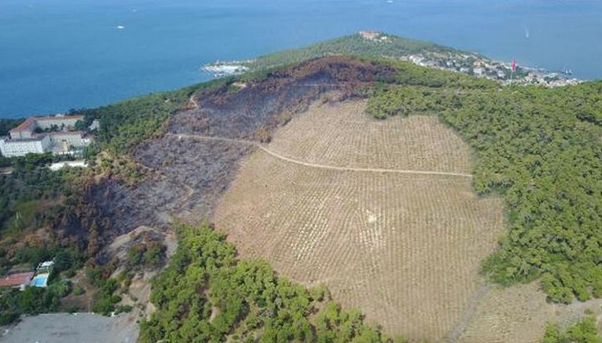 Heybeliadada 1700 ağaç yandı Yeşillendirme çalışması başladı