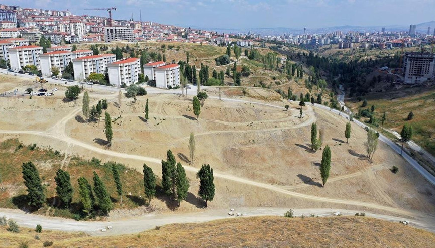 Dikmen Deresi temizlendi