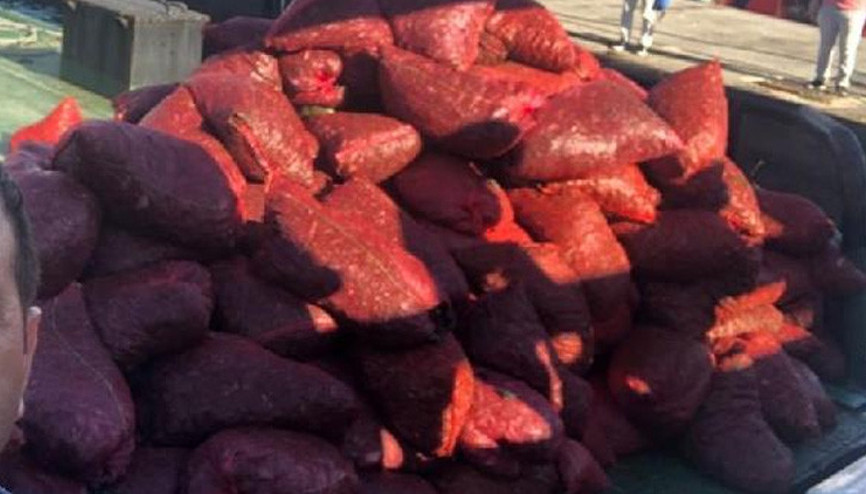 Bayrampaşa Sebze ve Meyve Halinde kaçak midye operasyonu 6 ton yakalandı