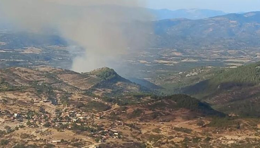 Balıkesir Burhaniyede orman yangını
