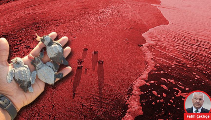 Jandarma katilleri arıyor... Peki carettaları kim öldürdü