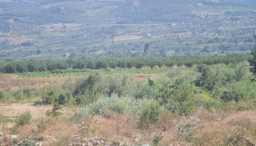 Sakaryanın Pamukova ilçesinde eğitim uçağı düştü ihbarı