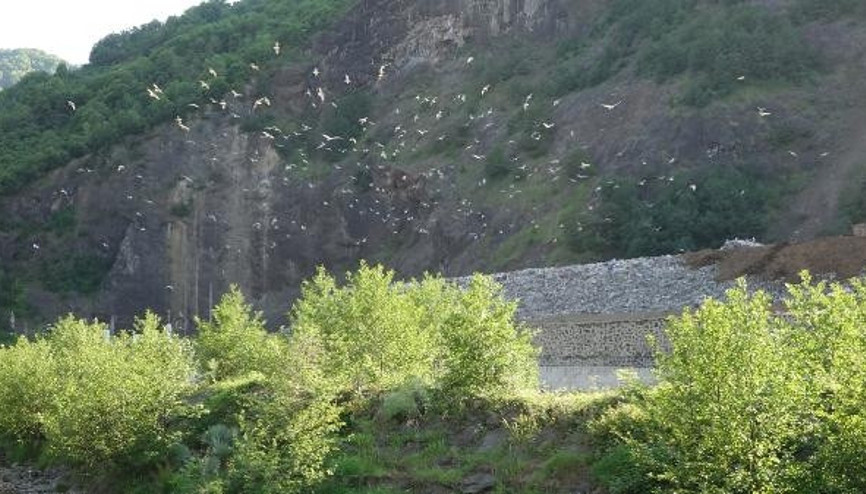Çöp tesisi atık sularının denize deşarjı iddiası Soruşturma başlatıldı
