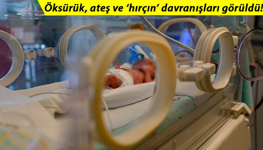 Sadece 4 aylıktı... Koronavirüste şoke eden ölüm