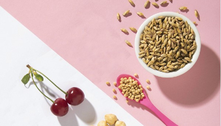 Hakkını yemişiz arpa maltı